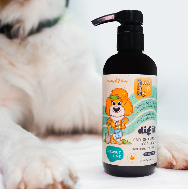 Chosen By Dogs CBD Anti-Itch Soothing Shampoo image 2
