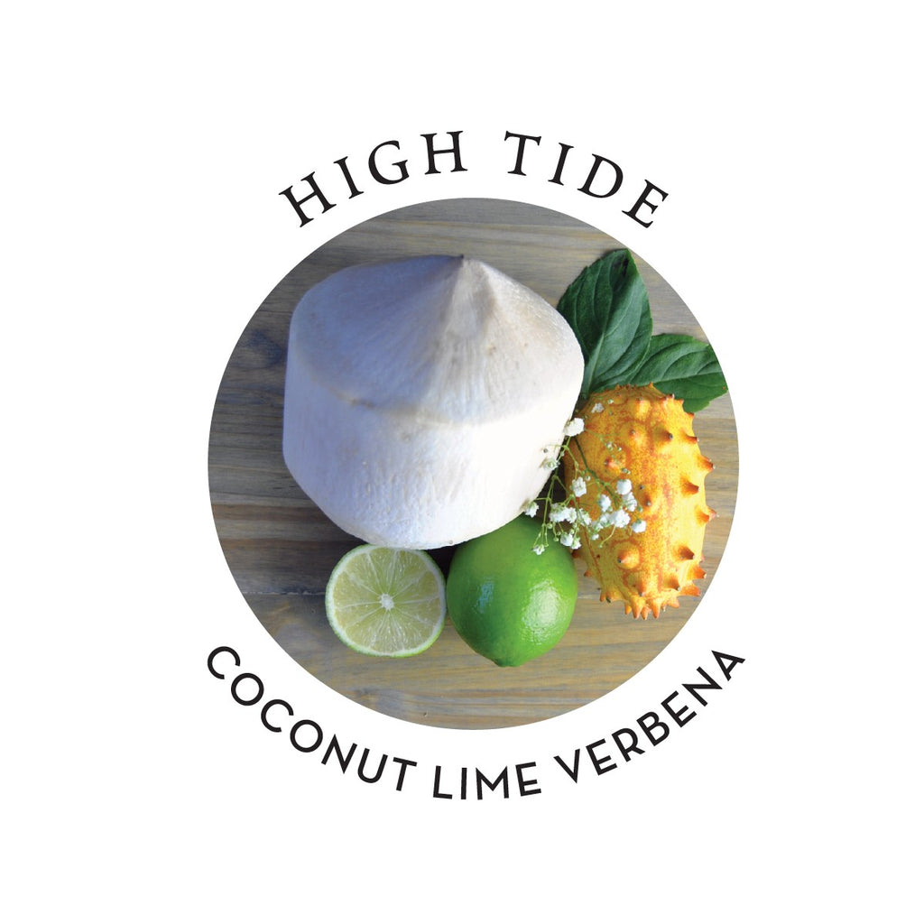 MKS eco X Detangler (4 oz, High Tide Scent) image 3