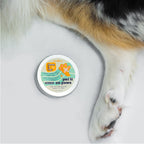 Chosen By CBD Paw Protection Balm image 2