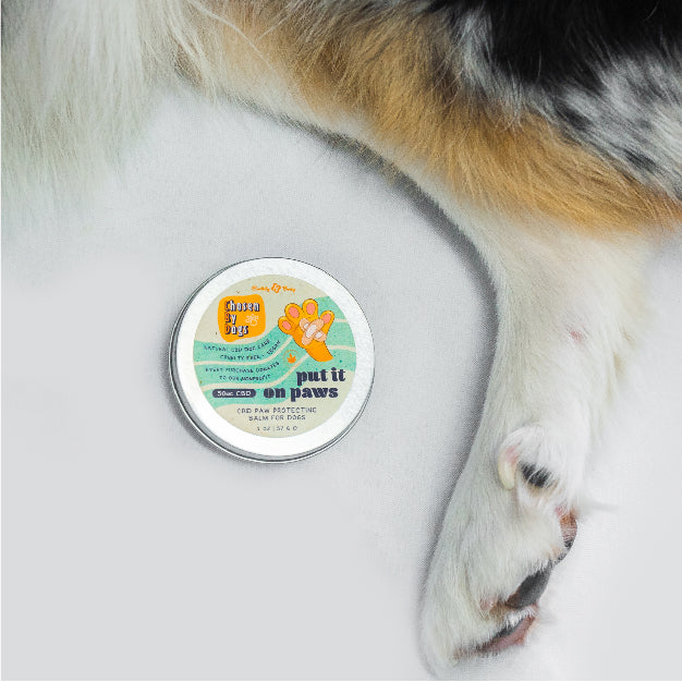 Chosen By CBD Paw Protection Balm image 2