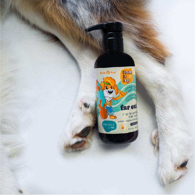 Chosen By Dogs CBD Moisturizing Shampoo image 2