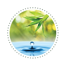 Naturally-derived Ingredients