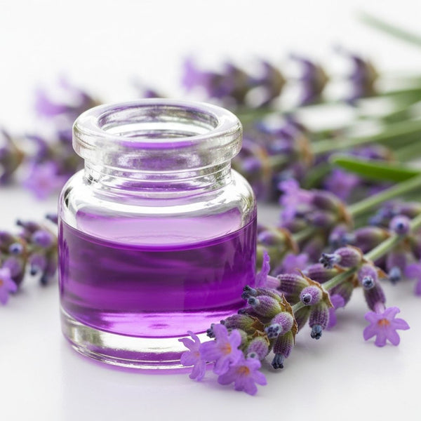 Lavender Oil