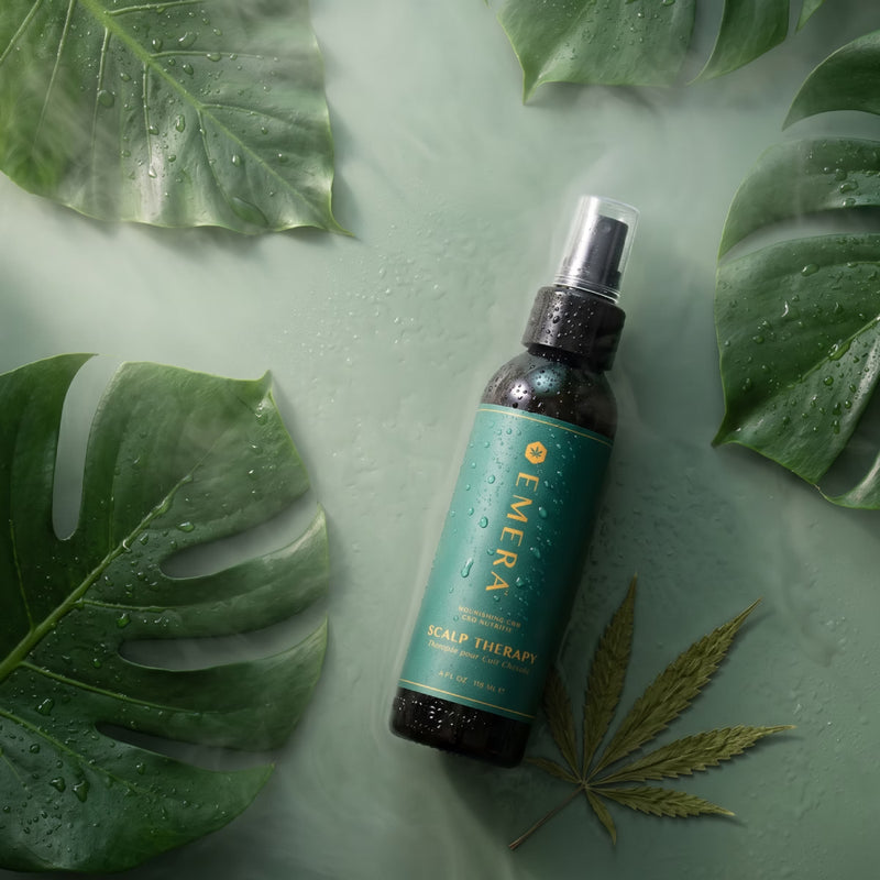 Healthy hair starts with a healthy scalp.