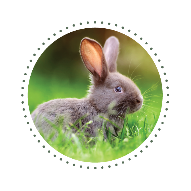 Cruelty Free