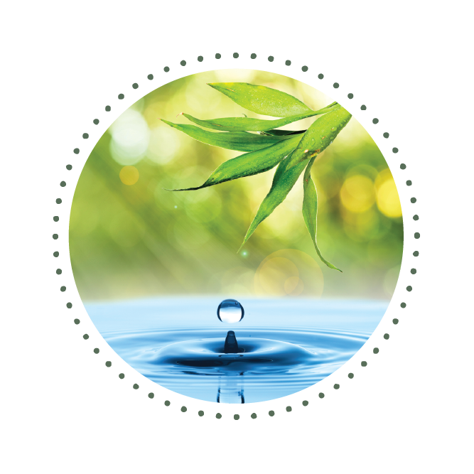 Naturally-derived Ingredients
